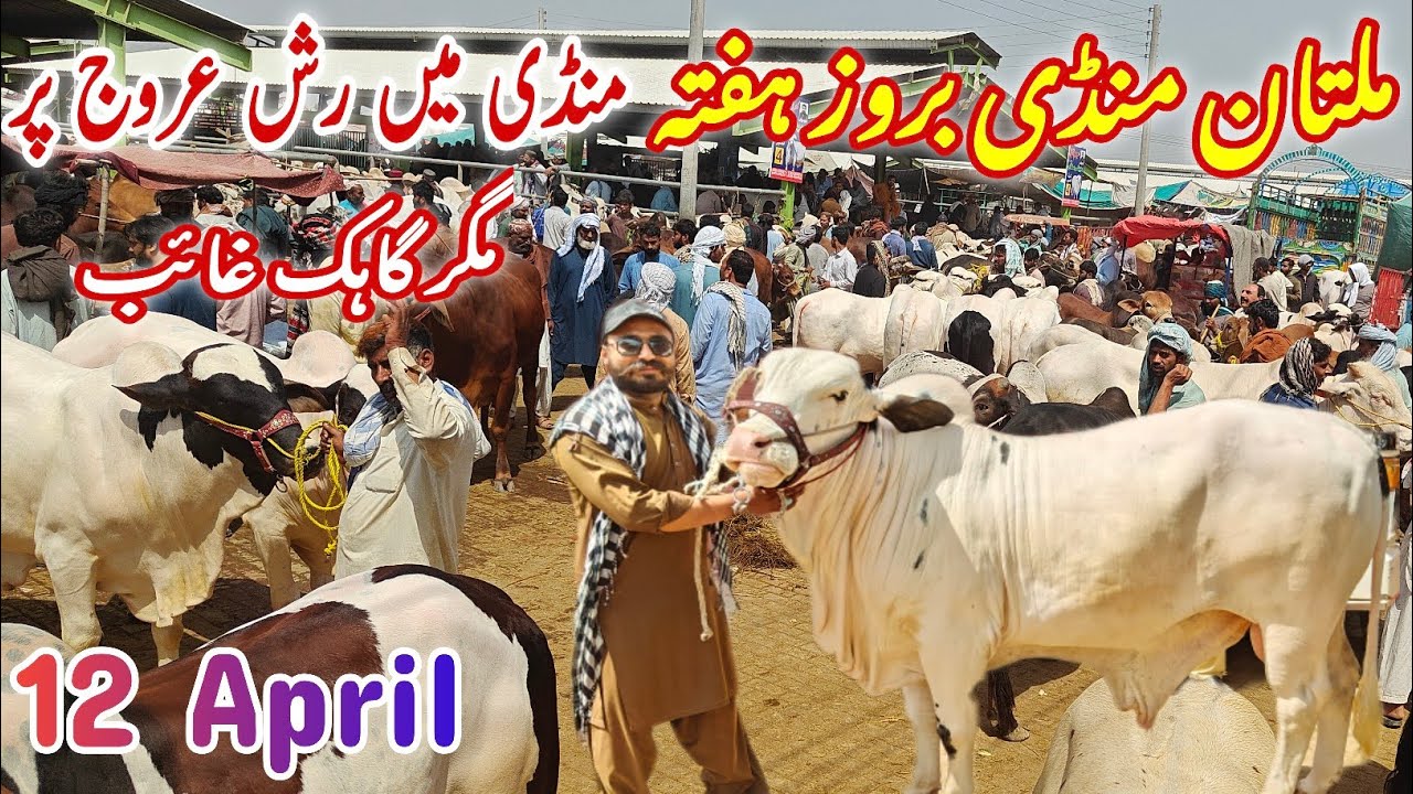 Mandi me Rush Arooj pr || Mall bhut Zeyada aya Magr Customer gaeb? || latest update on Saturday