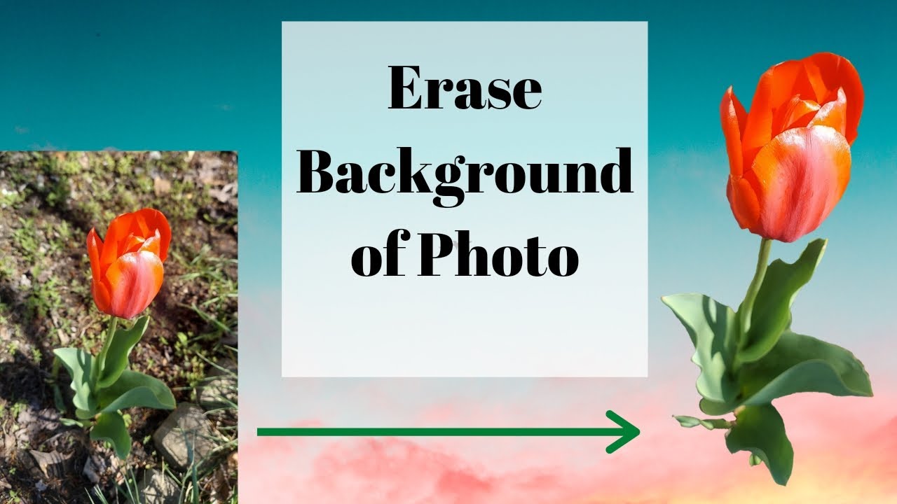 Easy free background eraser app on android smart phone tutorial