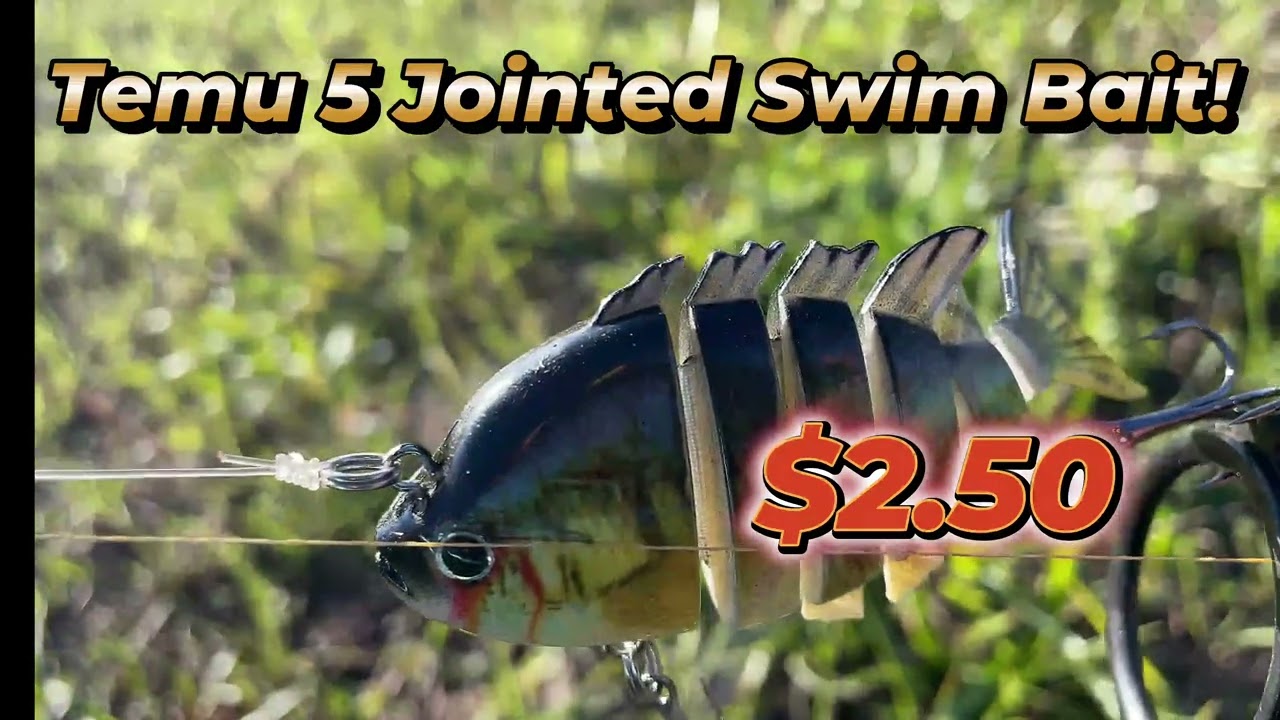 I Bought the Cheapest Swimbait on Temu&hellip; and it SHOCKED Me!