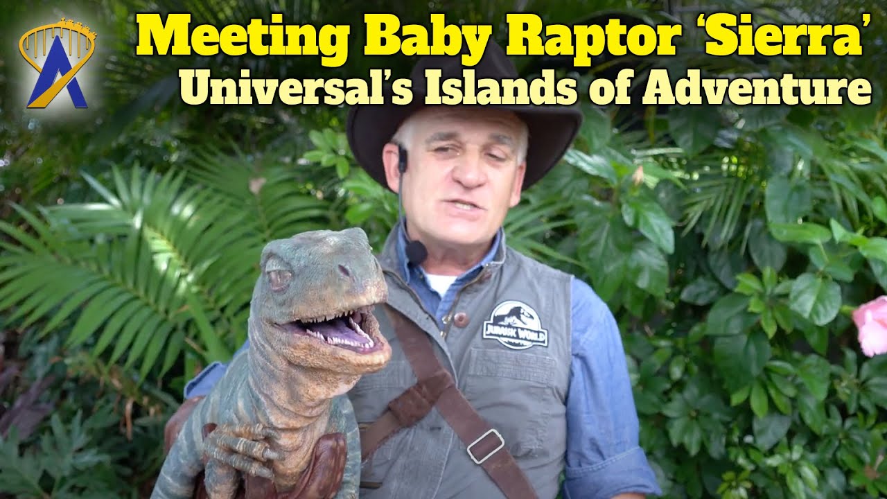 Meeting a Baby Raptor 'Sierra' at Universal Orlando's Islands of Adventure Park