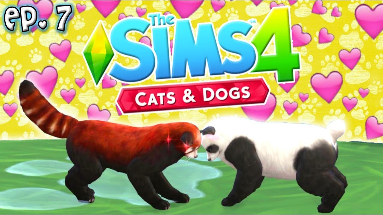 Panda Love - The Sims 4: Raising YouTubers PETS - Ep 7 (Cats & Dogs)