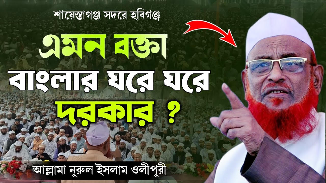 যোগ্য আলেমের যুক্তি সহকারে কথা || আল্লামা নুরুল ইসলাম ওলীপুরী / allama nurul islam olipuri waz