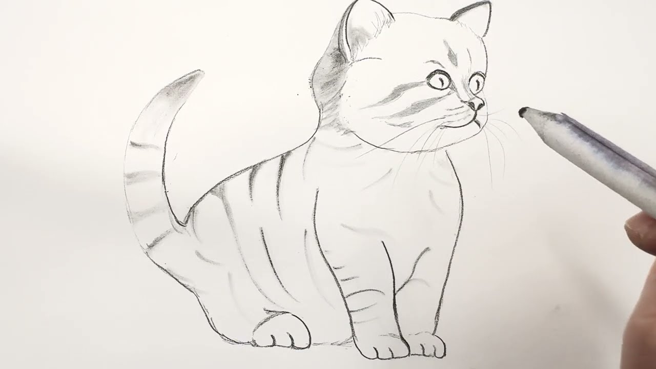 How to draw a Kitten [ step by step tutorial]