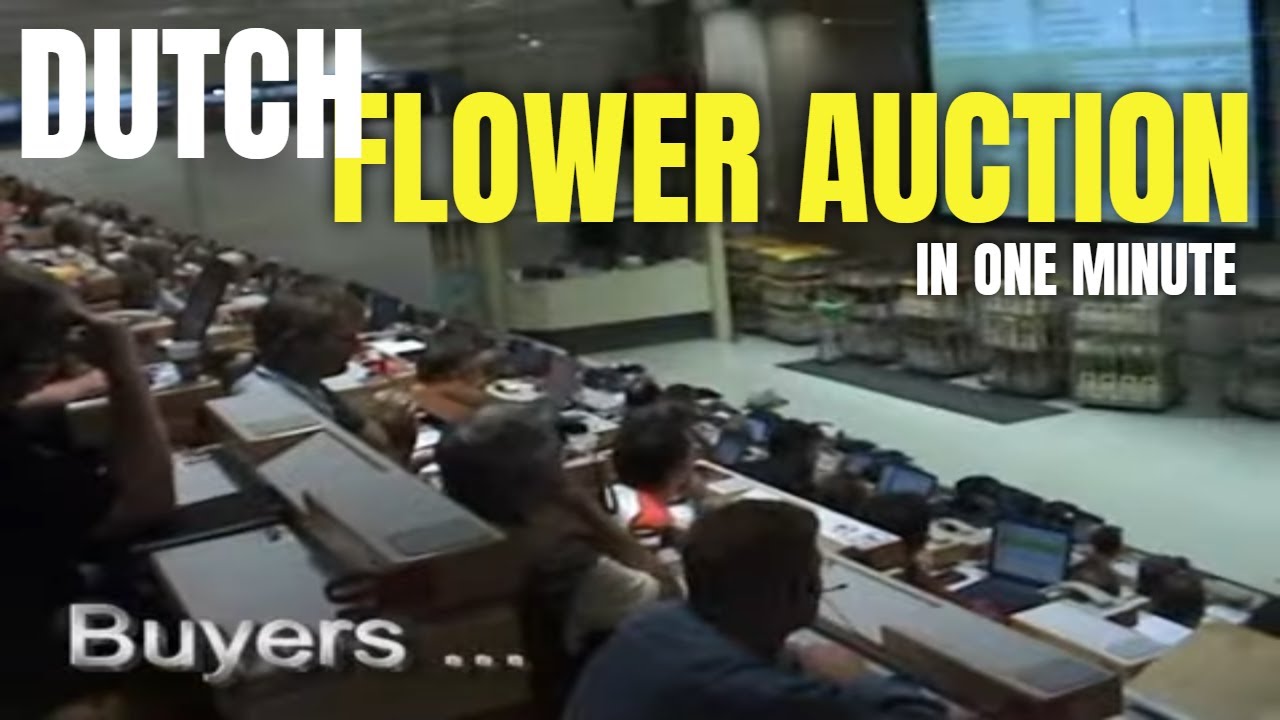 Daily flower auction in Netherlands - Fastest auction in Europe?