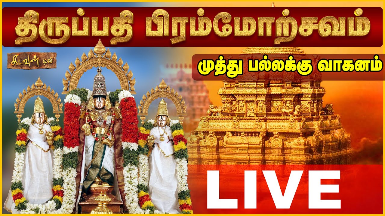 🔴Live: TTD Muthyapu Pandiri Vahanam 2025 | திருப்பதி ஸ்ரீவாரி பிரம்மோற்சவம் | முத்து பல்லக்கு வாகனம்