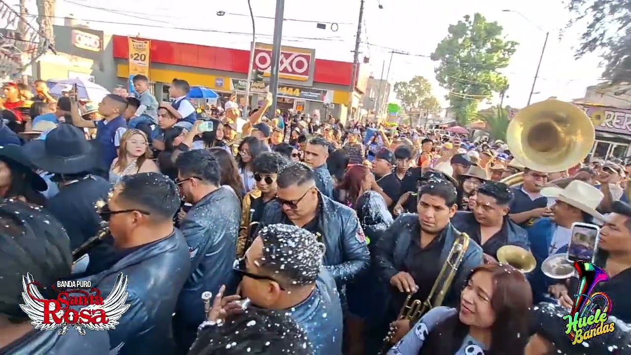 Olvidarte nunca/las esferas del dragón con banda puro santa rosa 🌹 🎶 zapotitlan 2026 