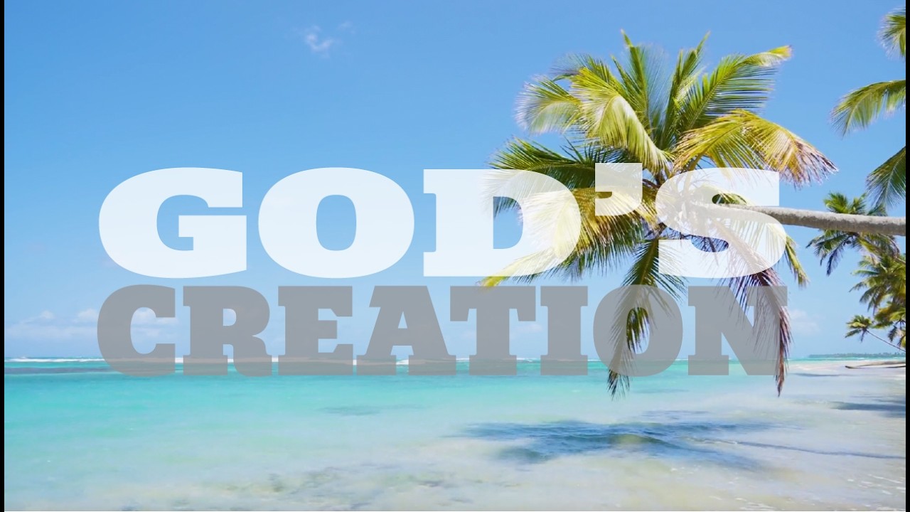 God's Creation Nehemiah 9:6