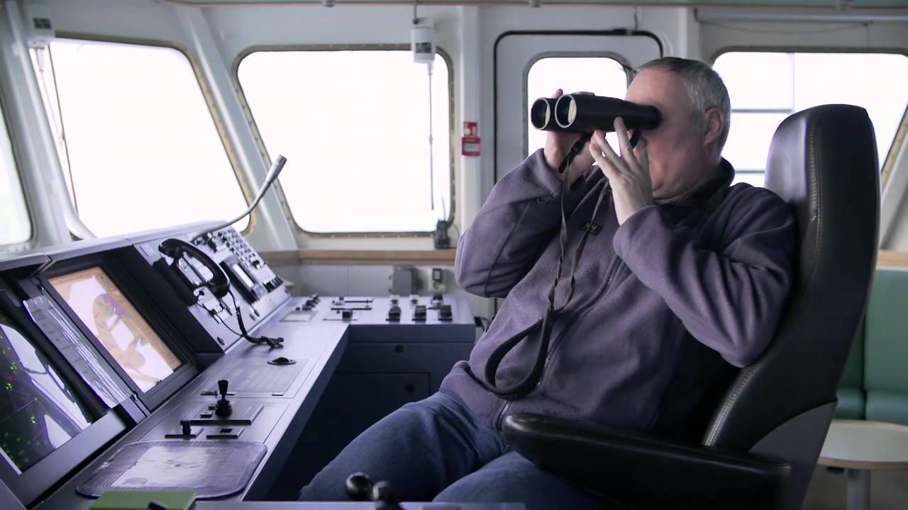 Pulse fishing in the North Sea