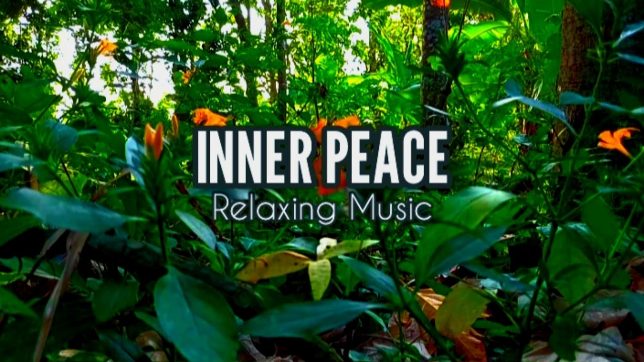 Relaxing Ambient Guitar - Nature Sounds - Stress, Study Focus, Anxiety Relief - Music by Ronnie Ef