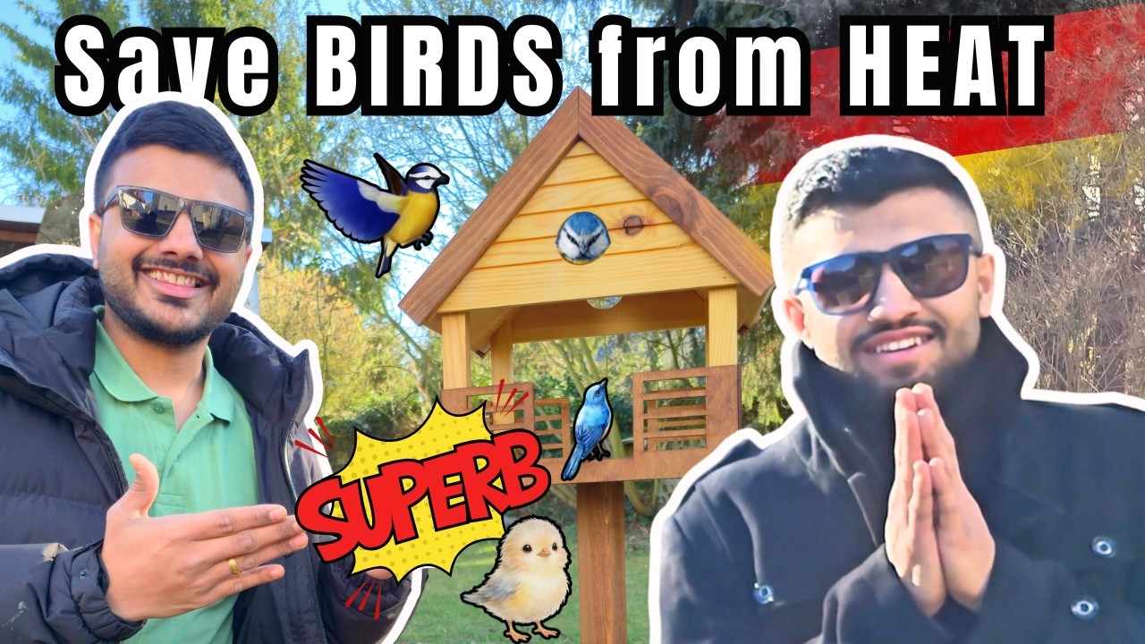 Finally Bird house ban gaya.....aur please help these voiceless Creatures🐦‍⬛🦜.