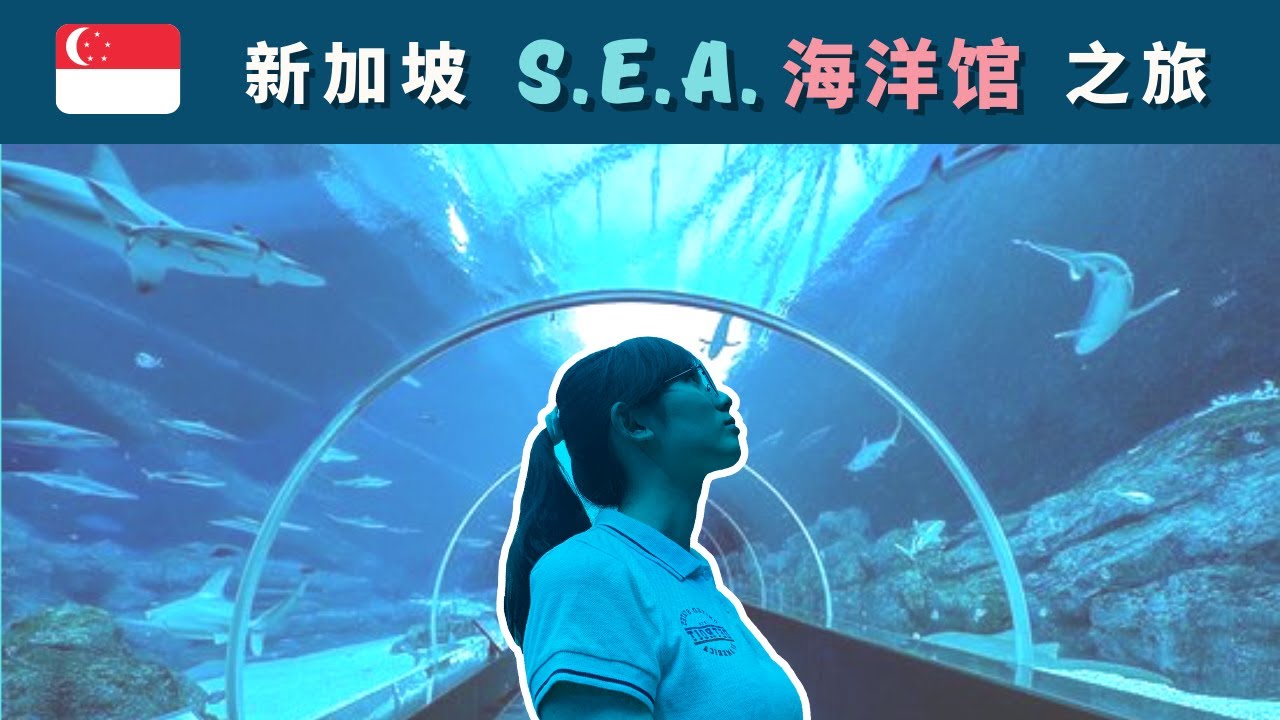 🇸🇬新加坡圣淘沙 SEA Aquarium 之旅 | 带您一起探索神秘的海洋世界！(Resorts World Sentosa | S.E.A. Aquarium Travel Vlog)