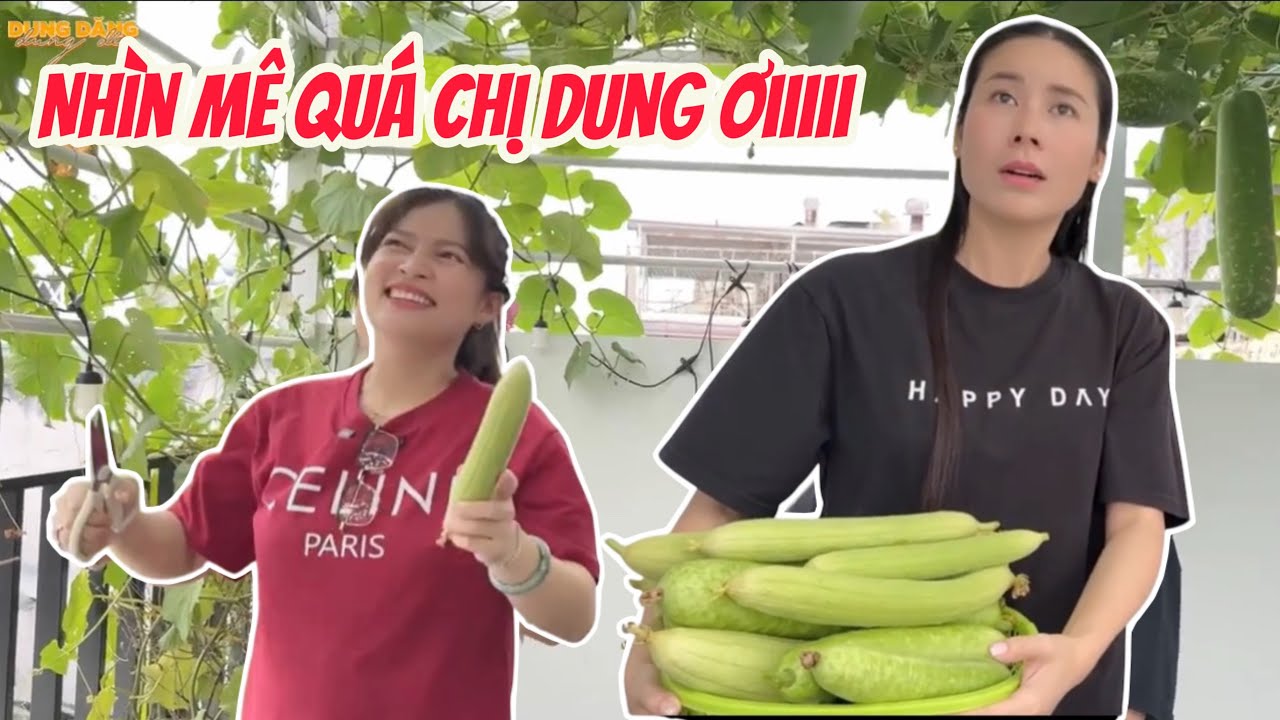 Nấm Bee cười tít cả mắt khi được 4D tặng quà đặc biệt