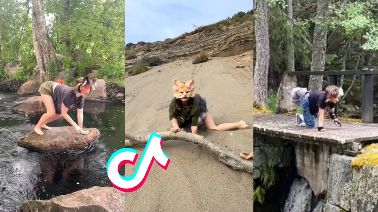 Therian and Quadrobics TikTok Compilation || Alterhumans of TikTok #33