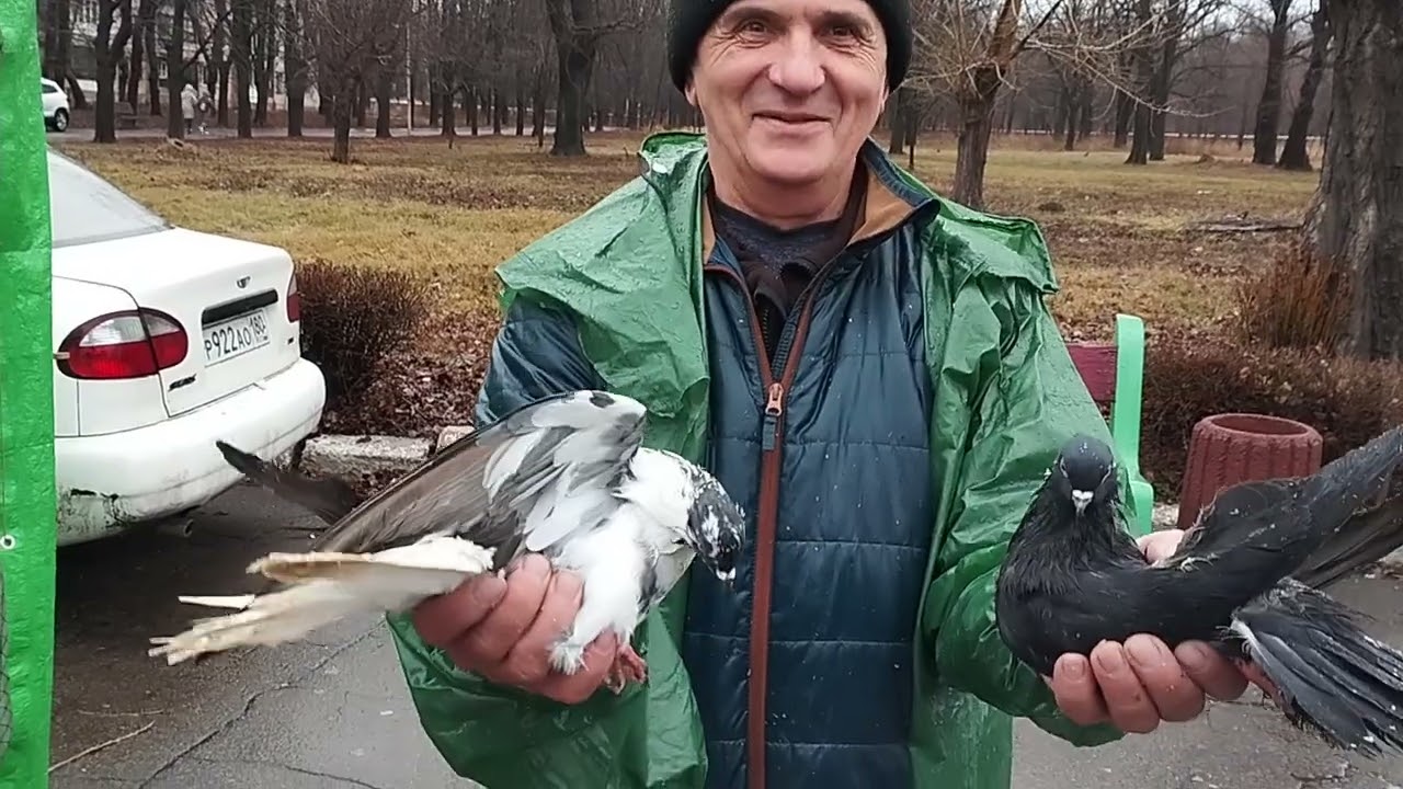 Ярмарка голубей г.Красный луч.23.12.23г