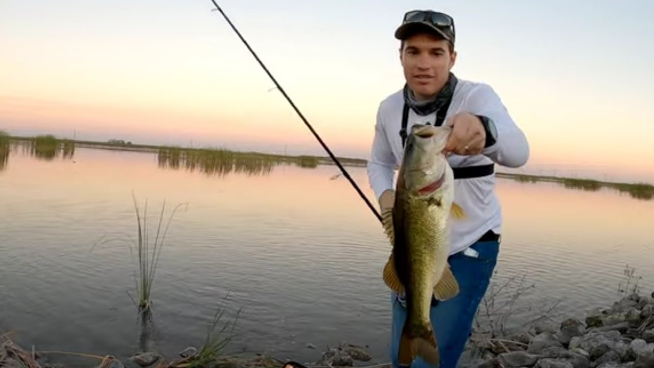 Pesca de Lobinas o Black Bass desde Orilla en Florida Everglades