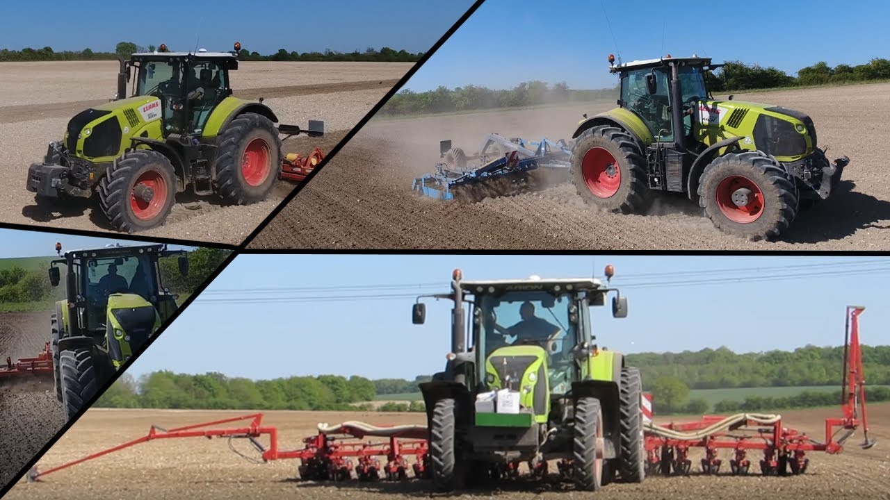 Sugar Beet Drilling