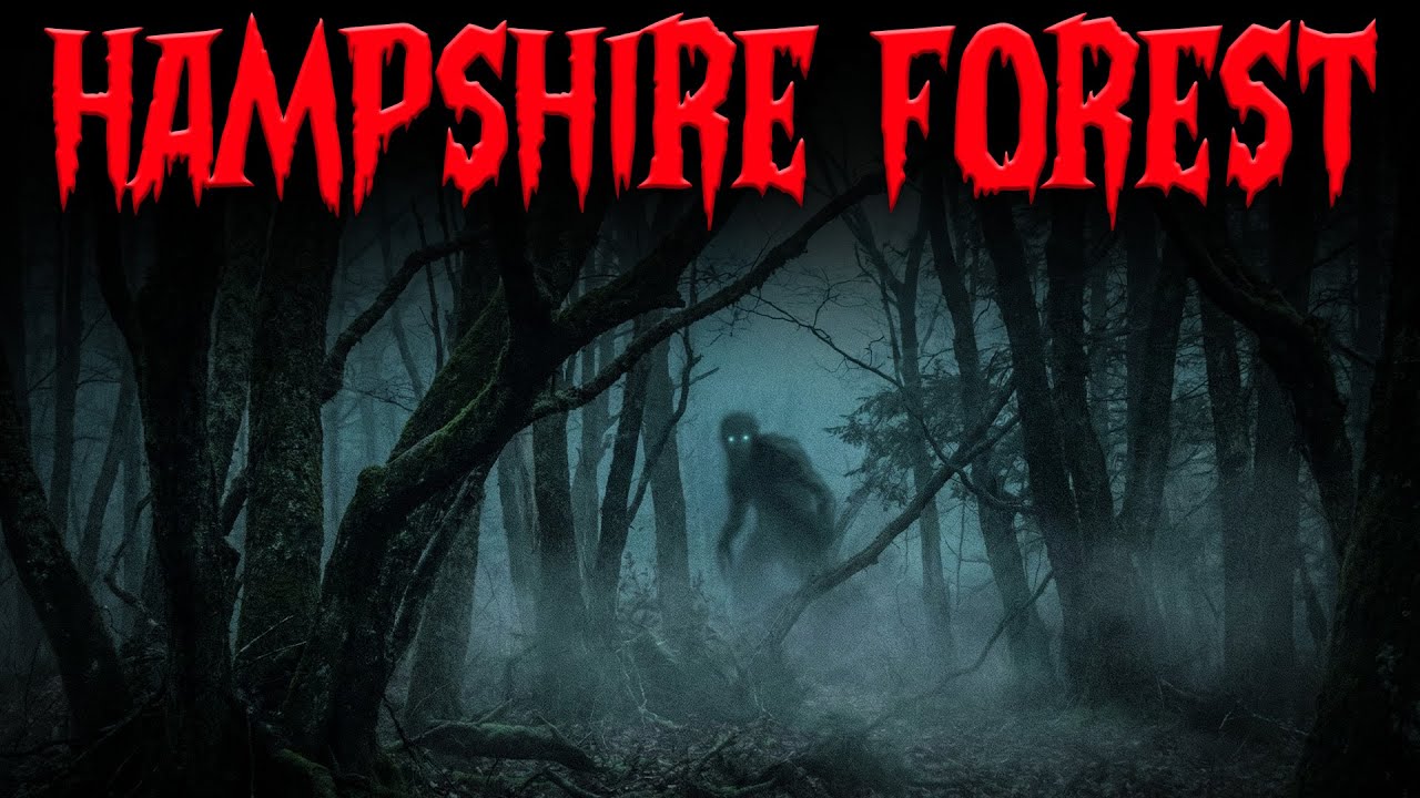 10 Most Disturbing TRUE New Hampshire Forest | Horror Stories | Terror Mora