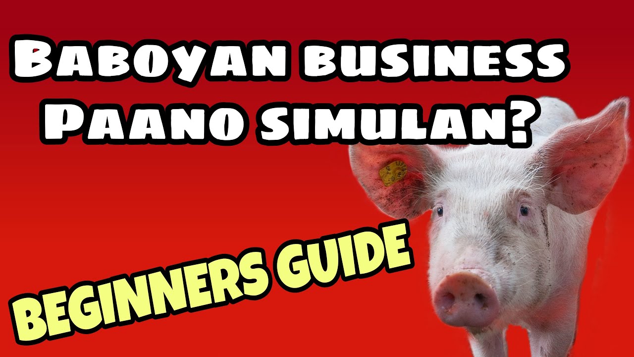 How To Start a Piggery Business || Paano Mag Simula Ng Negosyong Baboyan || Beginners Guide ||