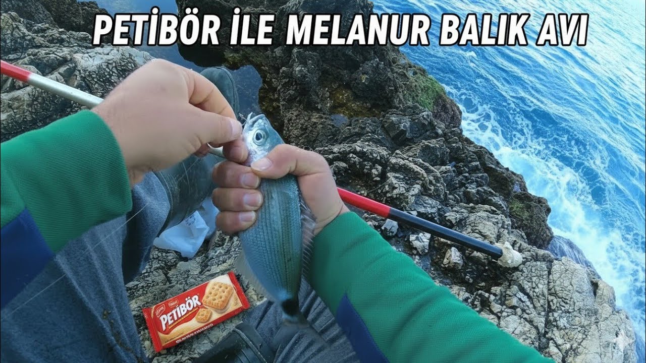 MELANUR BALIK AVI_&Ccedil;OK K&Ouml;T&Uuml; GE&Ccedil;Tİ_ ALANYA MELANUR BALIK AVI