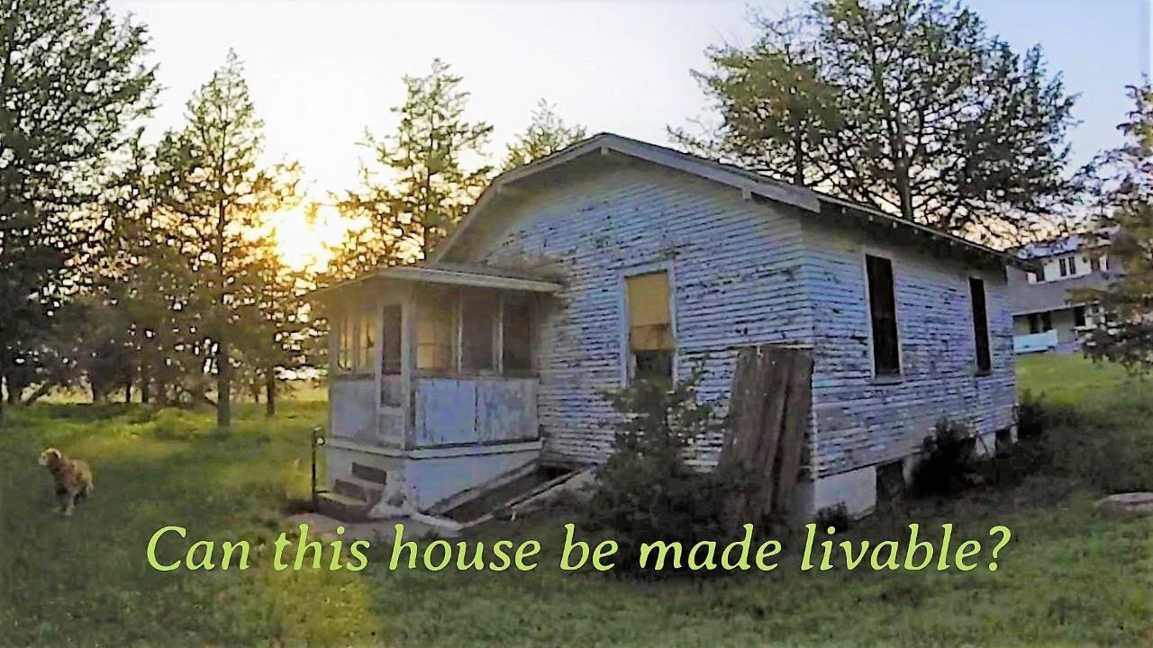 Cleaning out the Little House!