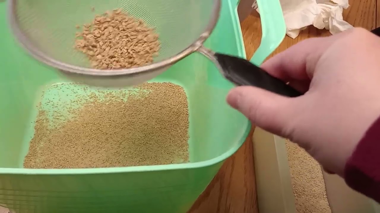 Quail! ~ Easy Button Quail Food!