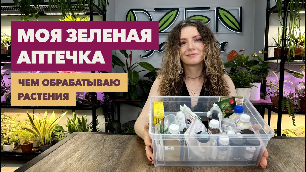 Зеленая аптечка » Мои средства для борьбы с вредителями и болезнями