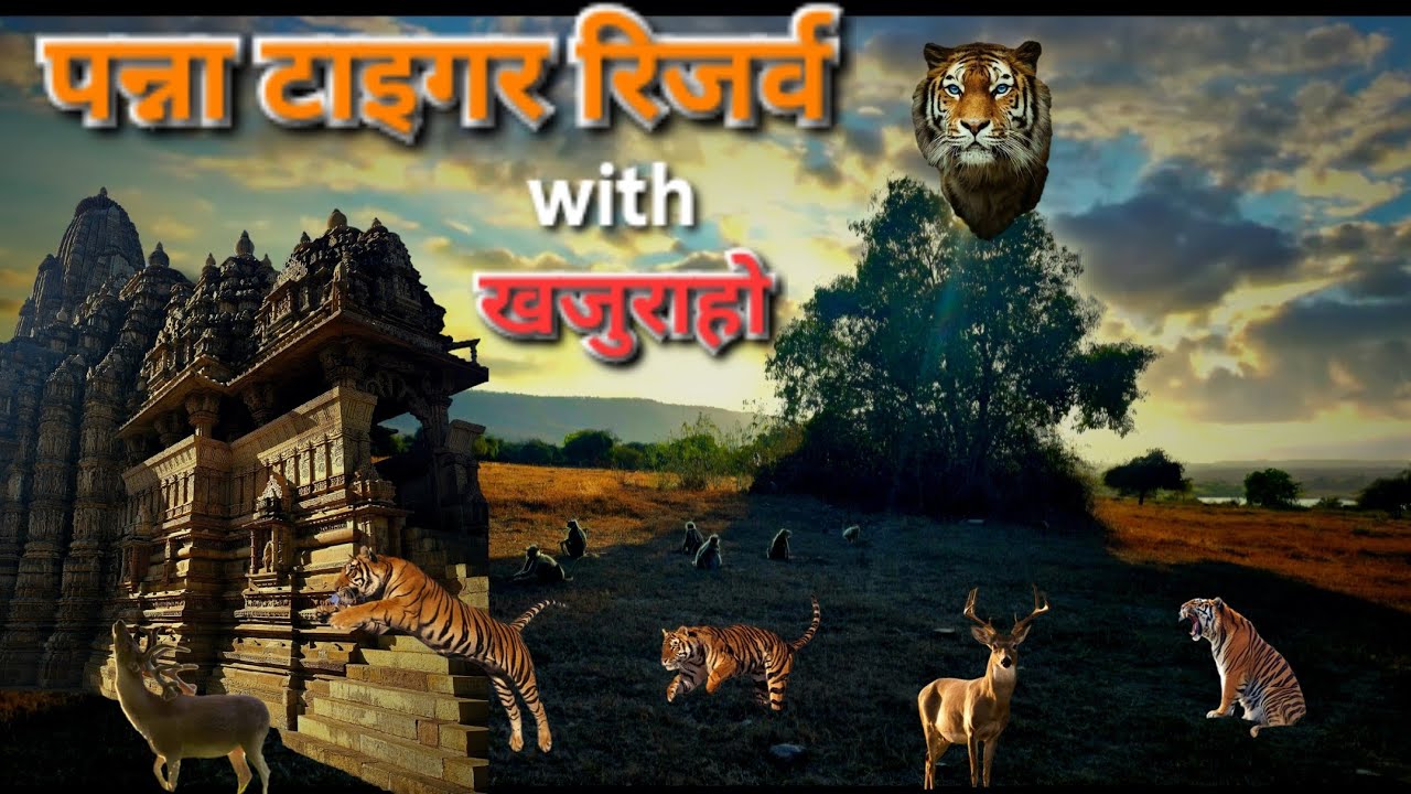 Panna Tiger Reserve With Khajuraho❤️| @ChoteChote_musafir | Panna Tiger Reserve Vlog|Chhatarpur