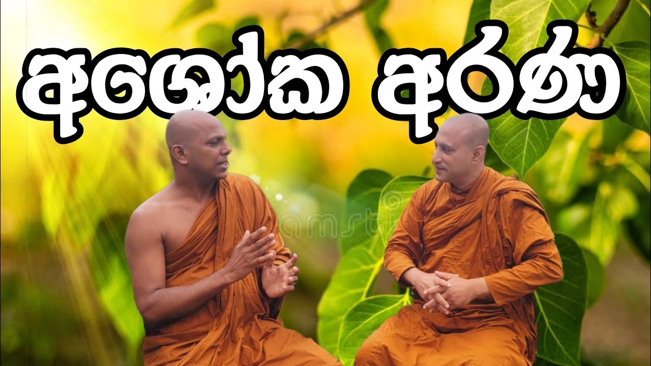 🌺🙏අශෝක අරණ විවේක සෙනසුන | Bhanthe Maliyadewa 🌺🙏