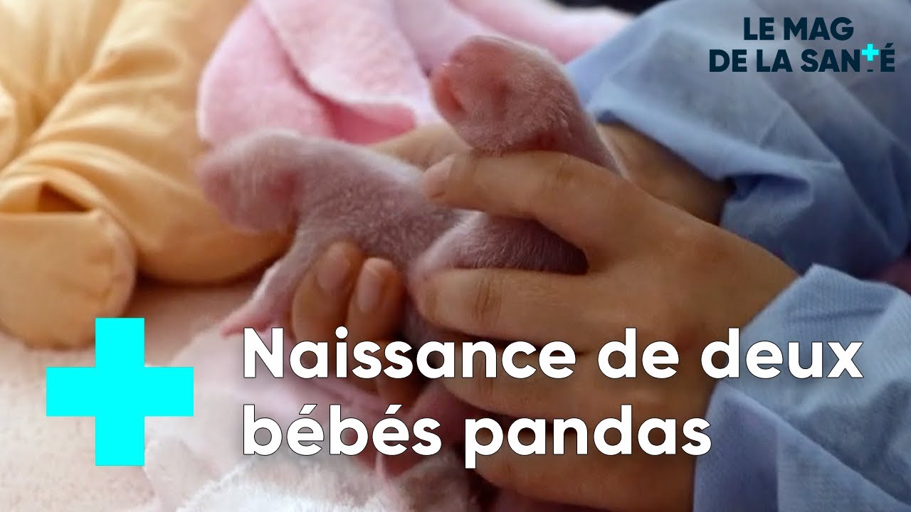 Zoo de Beauval, une clinique vétérinaire hors norme 5/5 - Le Magazine de la Santé