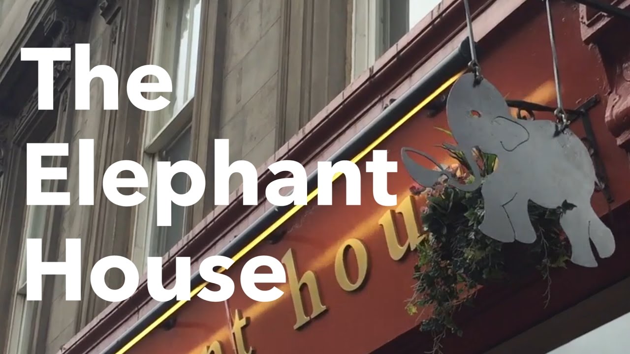 The Elephant House - Edinburgh, Scotland