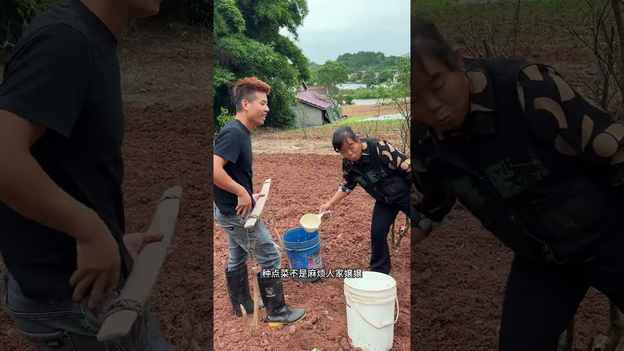 种不完根本种不完，这样种下去，我看这个土还不够莉莉种哟！#我的乡村生活 #田园生活 #家庭日常
