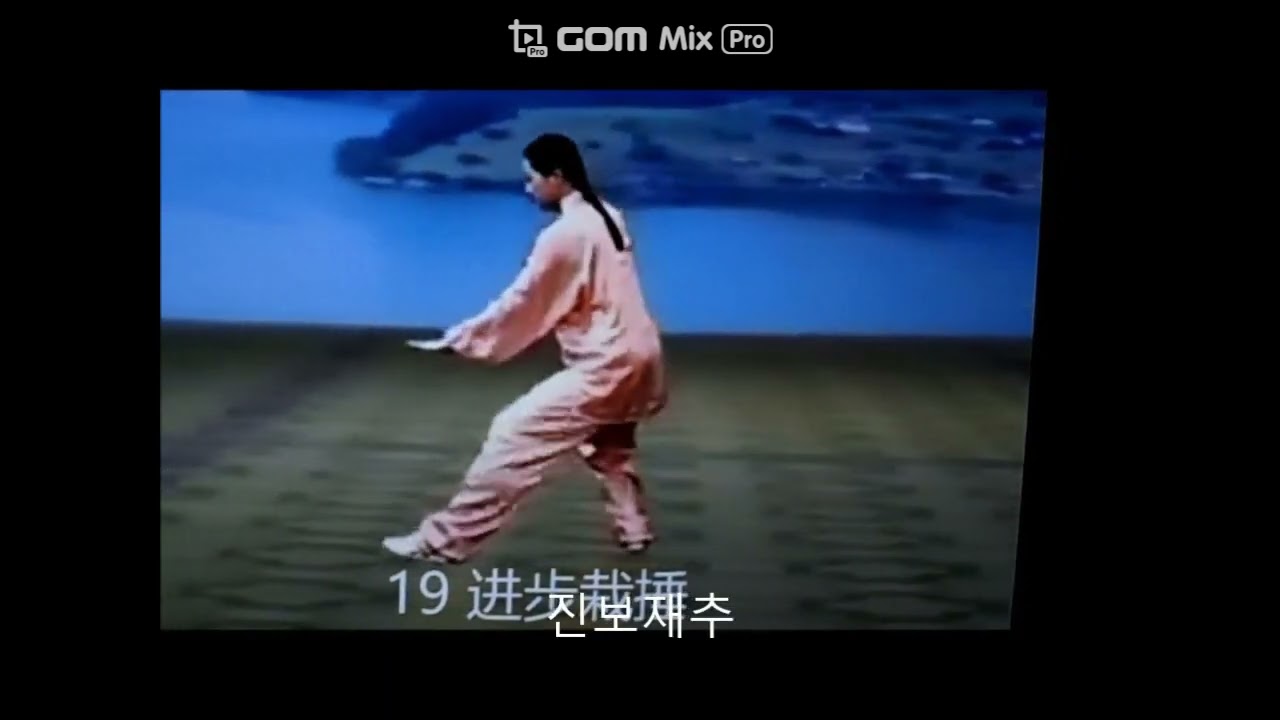 태극권32식 한글자막