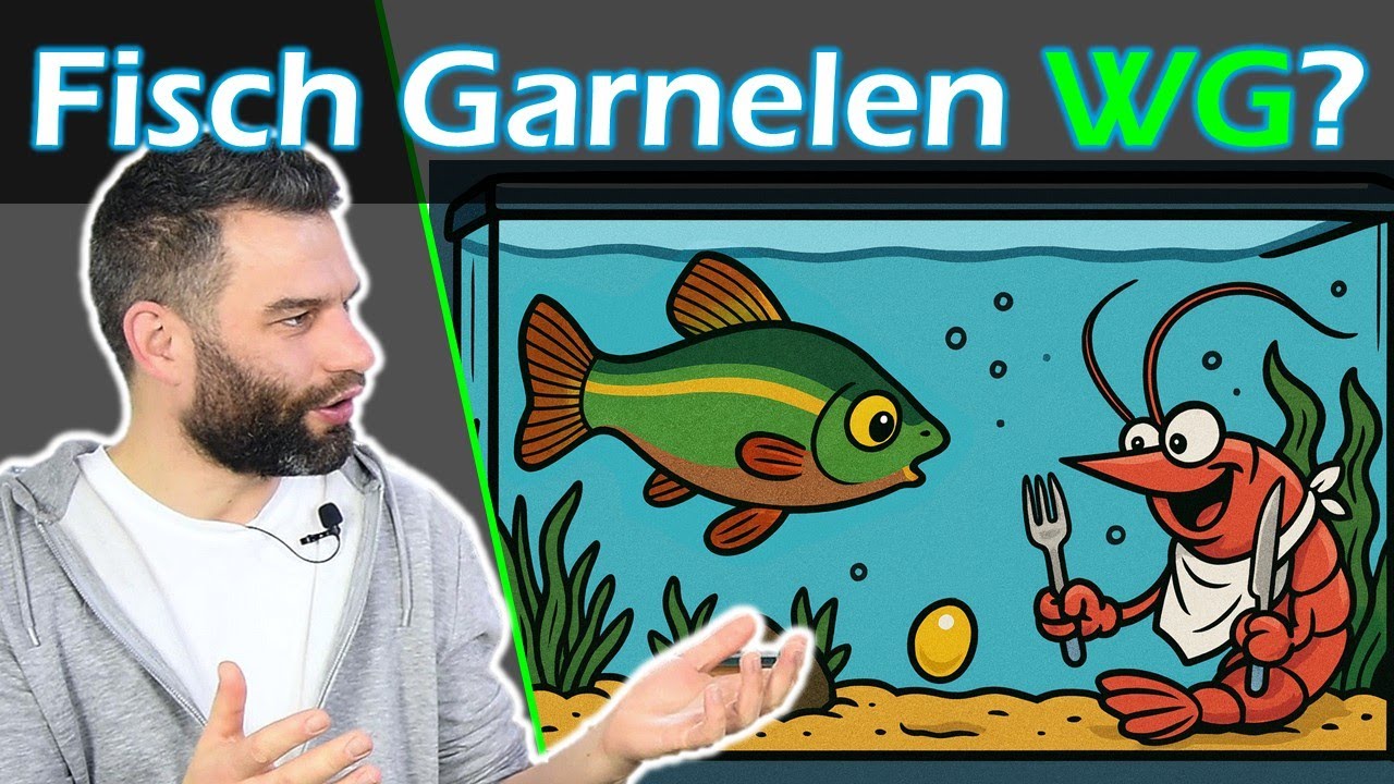 Freilaicher & Garnelen im gleichen Aquarium VERMEHREN?