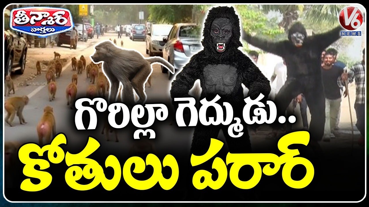 Sarpanch’s Creative Move: Gram Panchayat Youth Dress as Gorillas to Chase Monkeys | V6 Teenmaar