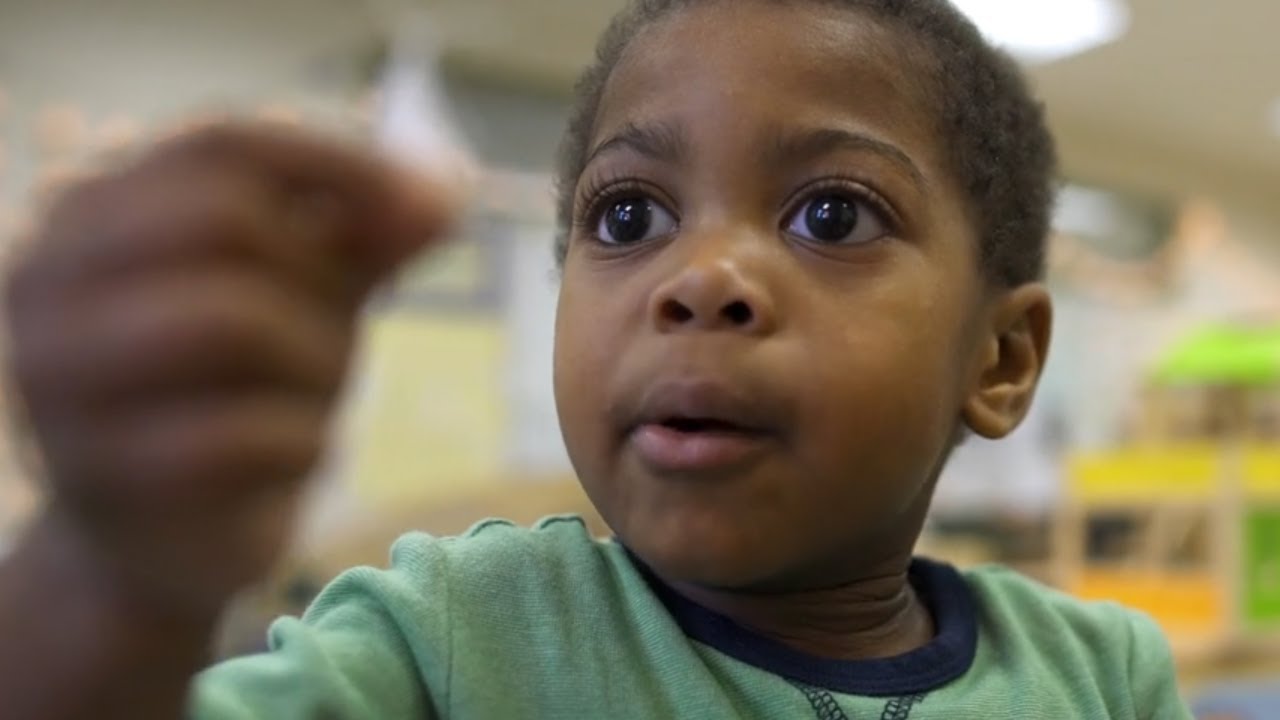 What's the Role of a Teacher? Did this teacher do the right thing?