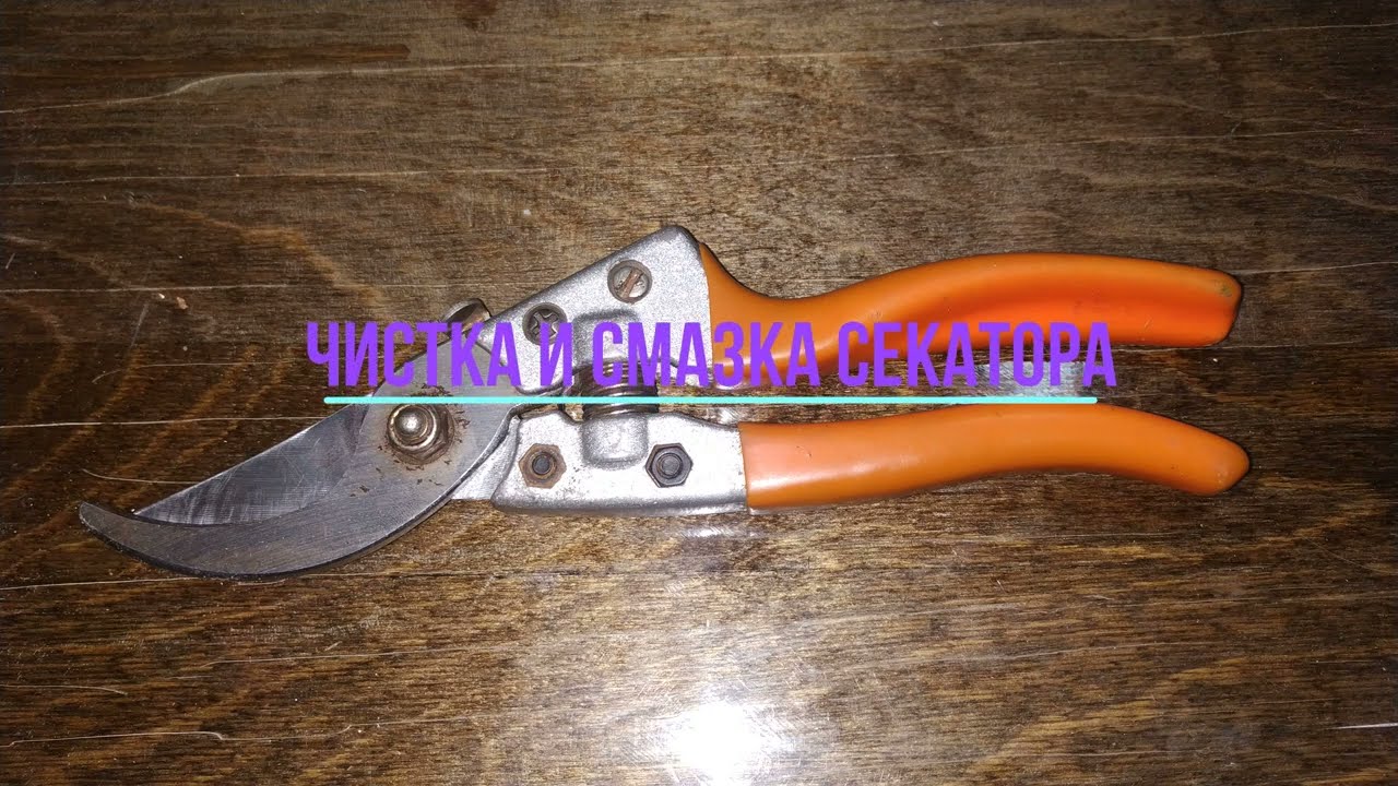 Обзор и обслуживание секатора BRADAS модель KT V8