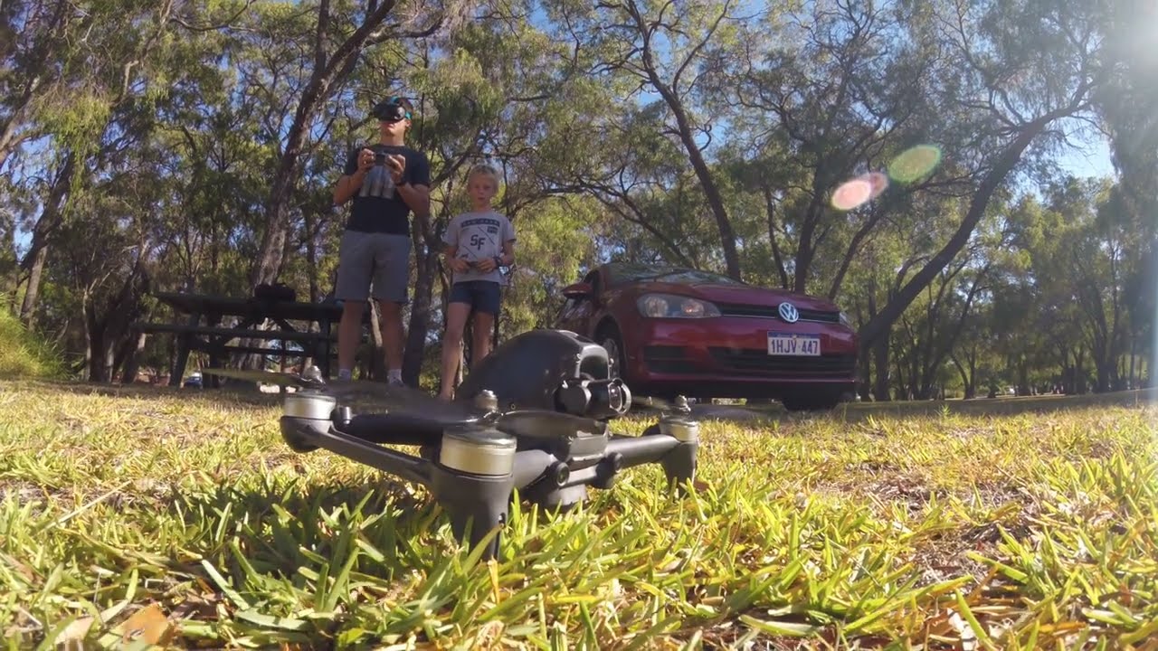 DJI FPV in Park full of Trees