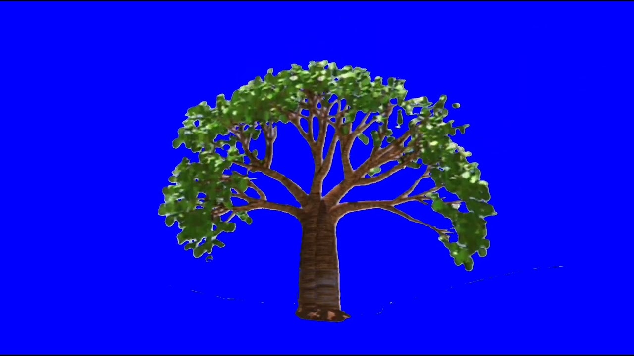 Magic Tree and Magic Blossom Tree Blue Screen