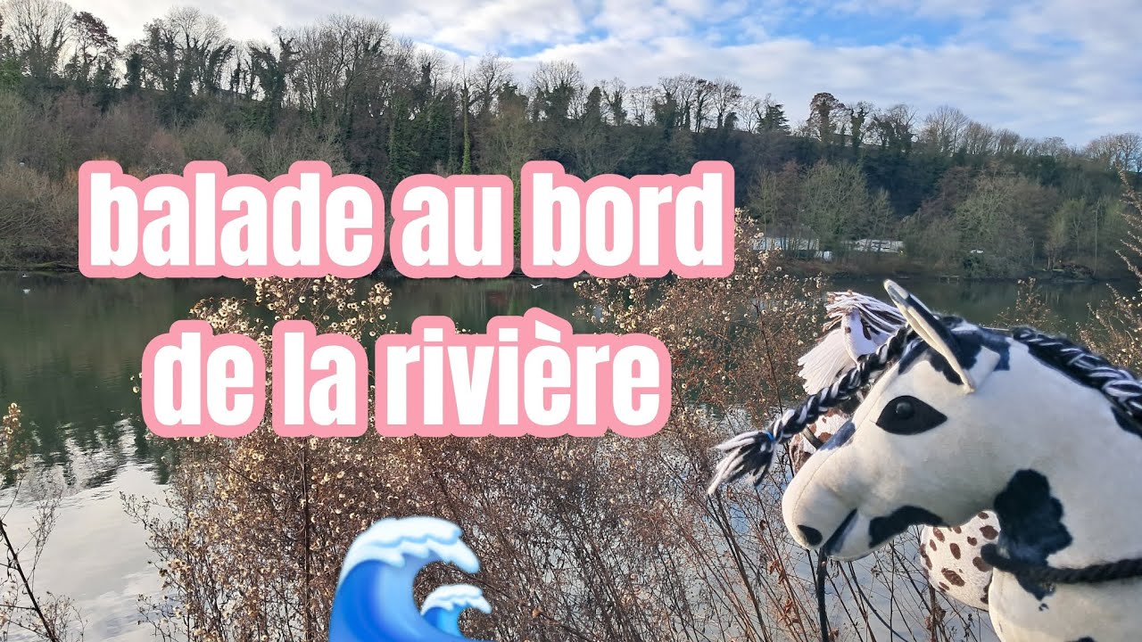 Balade au bord de la rivière 🌊🐴
