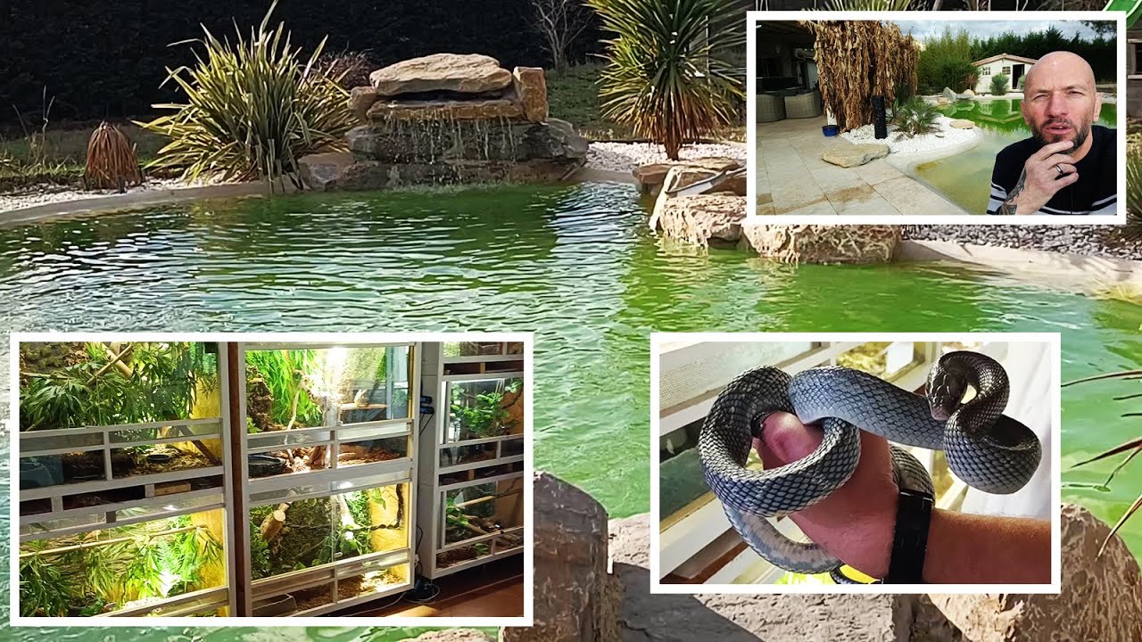 VISITE INCROYABLE CHEZ UN ABONNÉ : DES REPTILES DE DINGUE