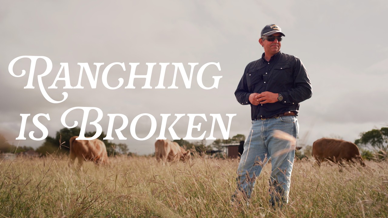 This is What Cattle Ranching Should Look Like