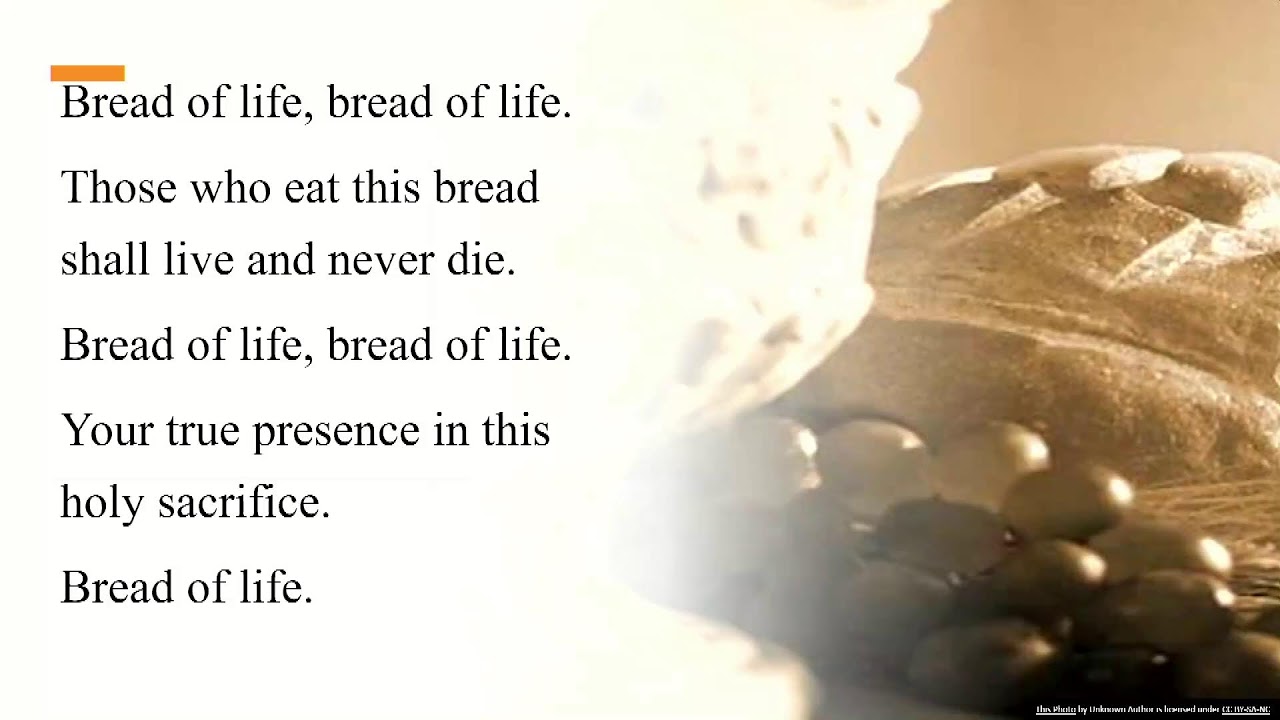 St. Mary Coptic Catholic Church Live Stream: