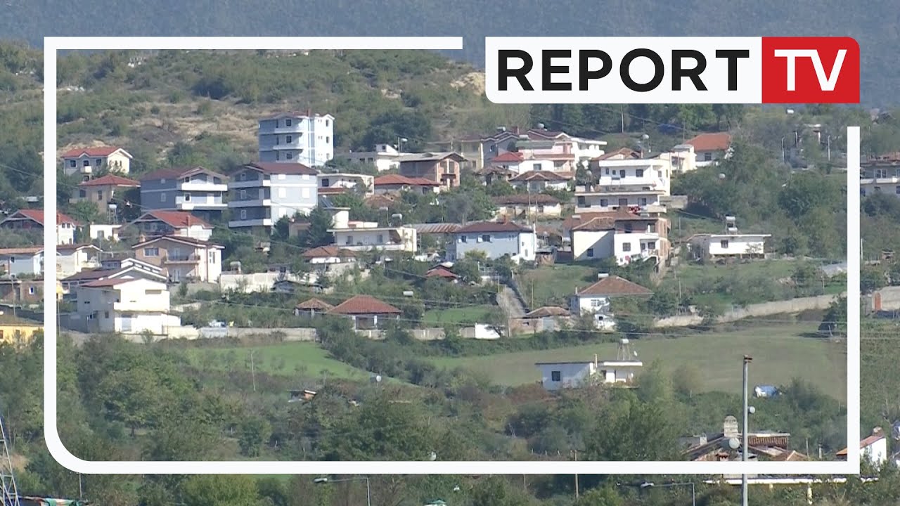 Report Tv, Veri Jug - Bërzhita e ullinjve në kurorën e Tiranës