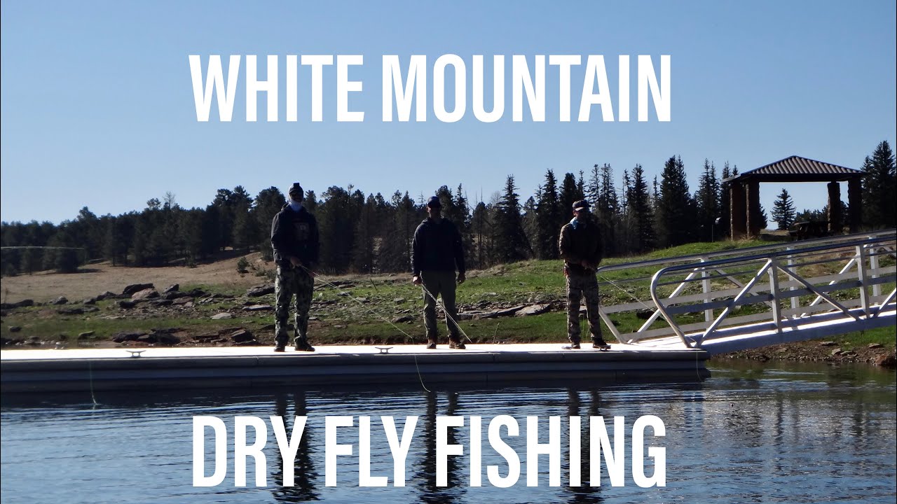 Dry Fly Fishing for Trout in the White Mountains