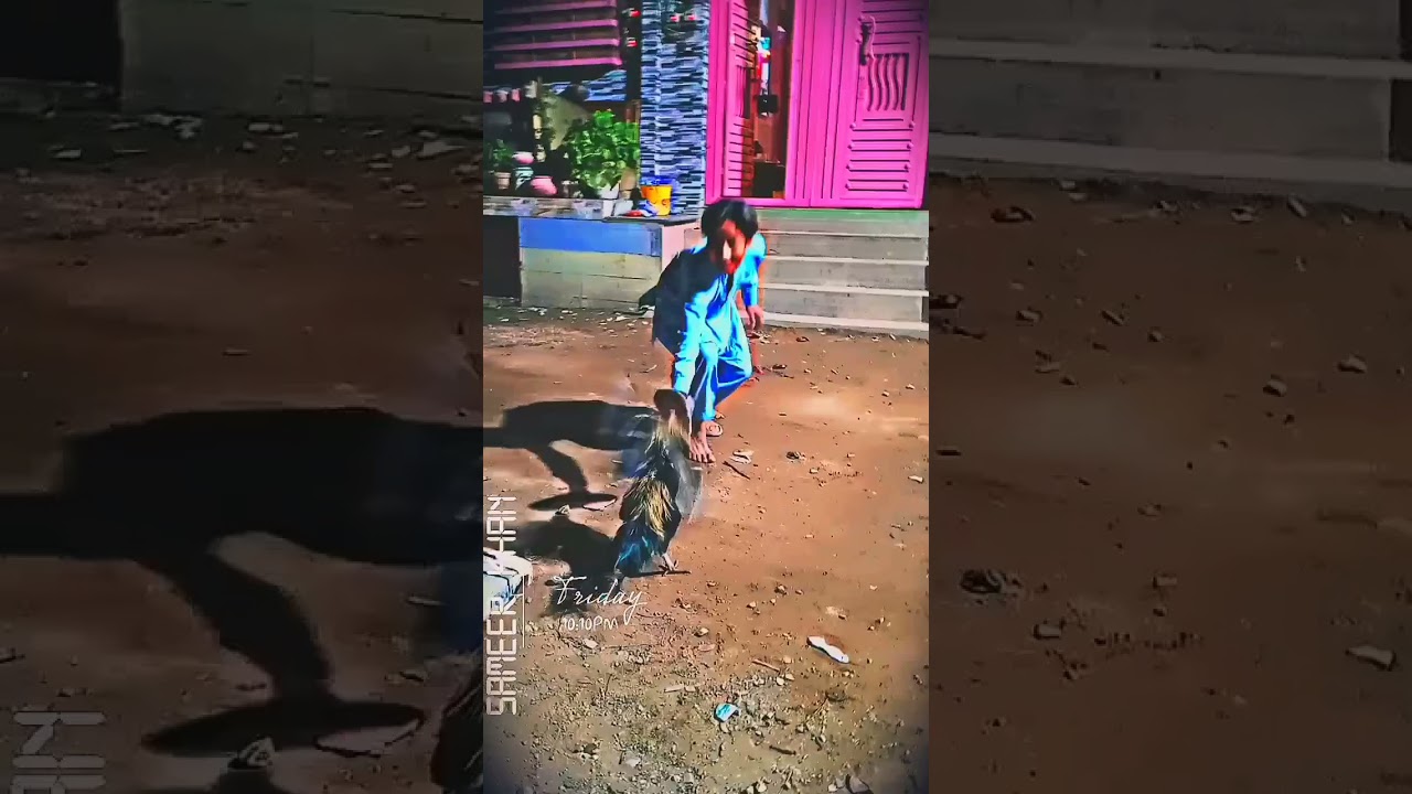 #brucelee