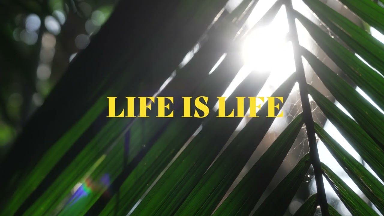JULI GIULIANI, MABREEZEE & KARMASOUND - LIFE IS LIFE [Ginga]