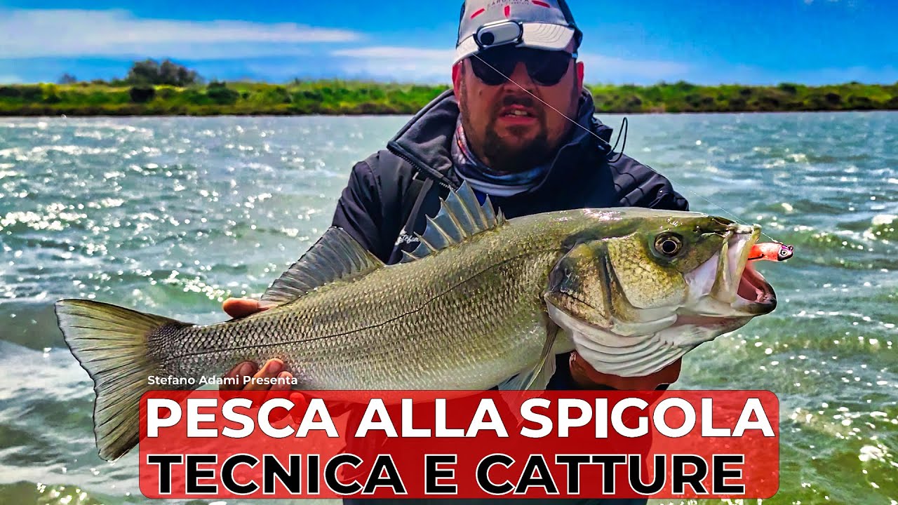 Pesca alla spigola con Stefano Adami! Scopri i segreti per le tue catture!