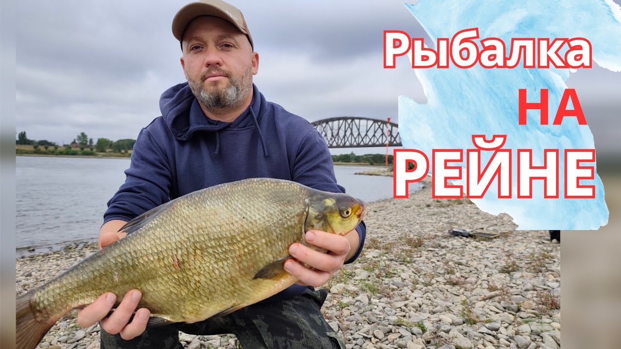 Ночная Рыбалка в Германии на реке Рейн