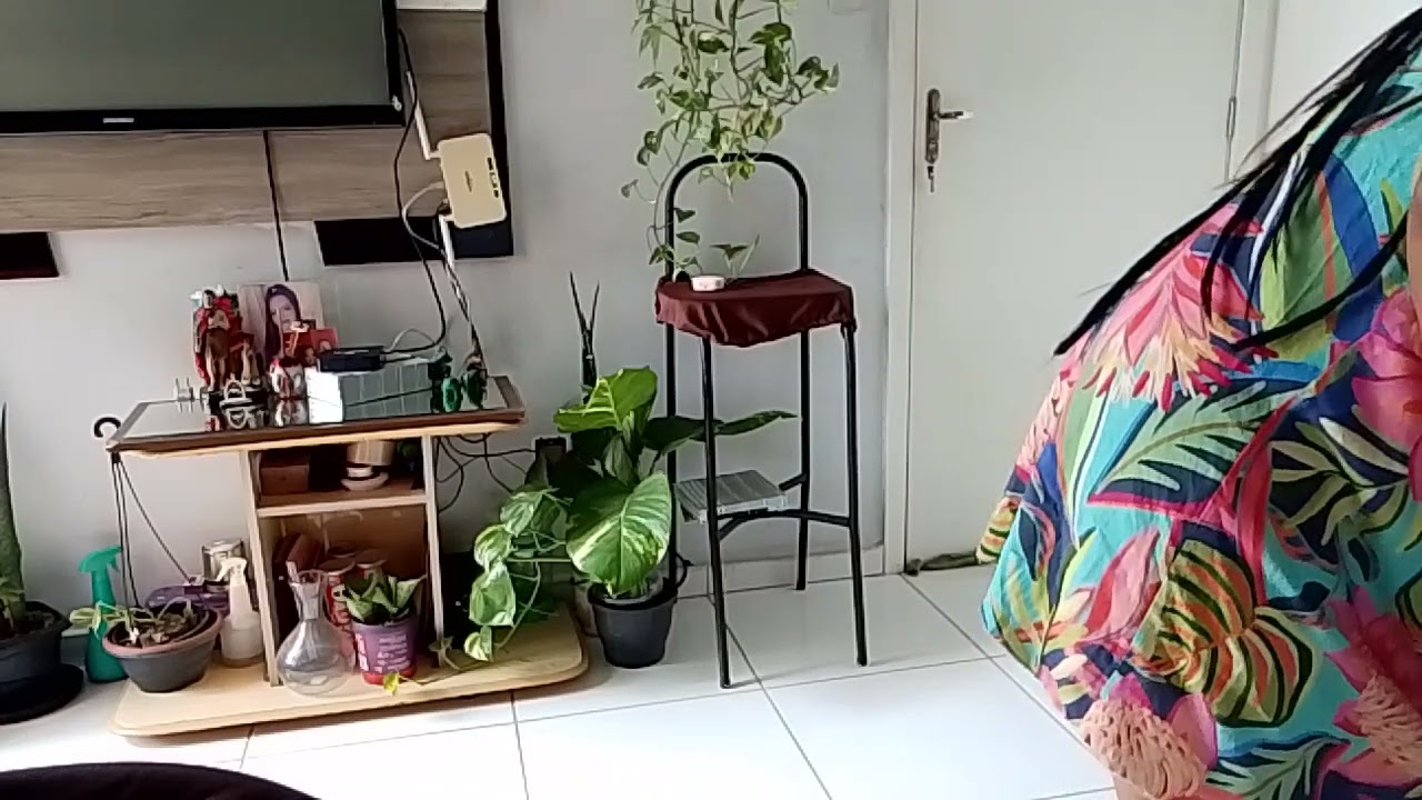 Pequena limpeza e organização de terça feira