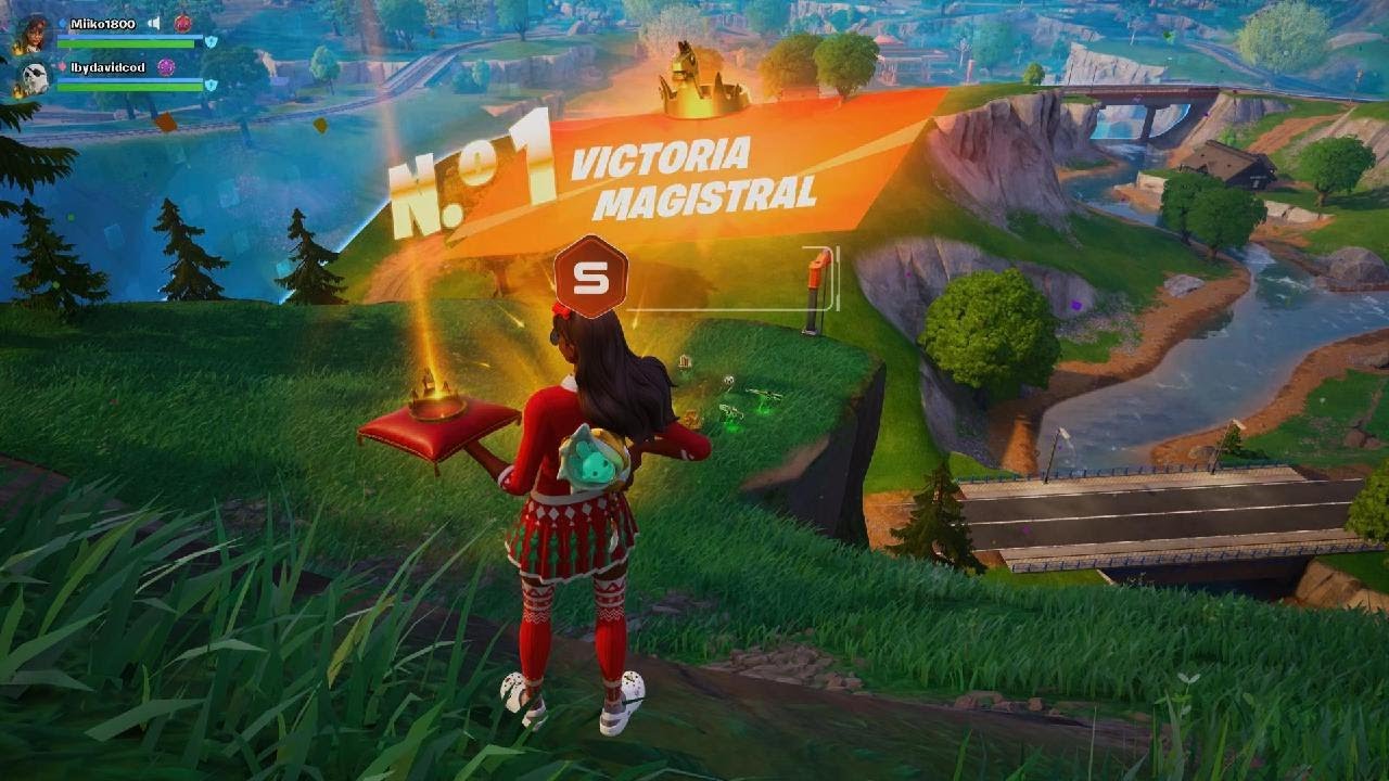 Buena victoria en fortnite duitos!!!!🏆🏆